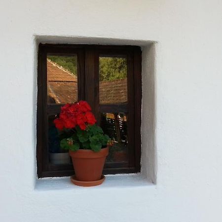 Zempleni Pitvaros Piheno Telkibánya Exteriér fotografie